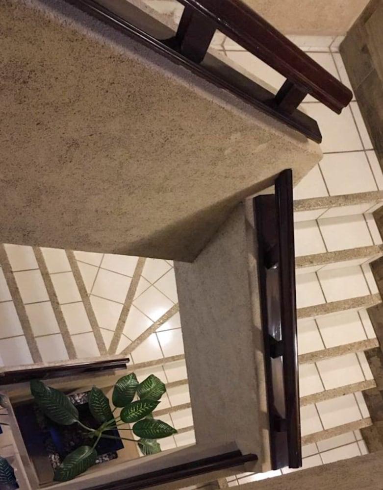 Hotel Terranova León Eksteriør billede